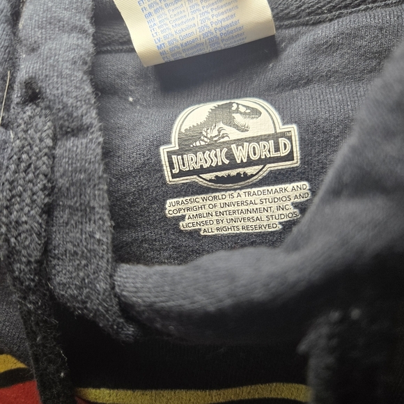 Port and Company Universal Studios Black Jurassic Park Hoodie Size Medium - Picture 2 of 6